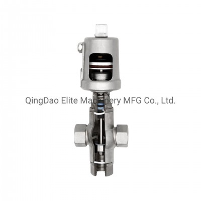 Esg Threaded Connection Angle Seat Valve Double Acting